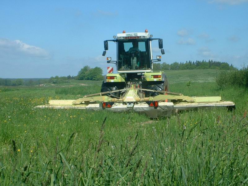 bilder/31_8_2005/lexion_17.jpg