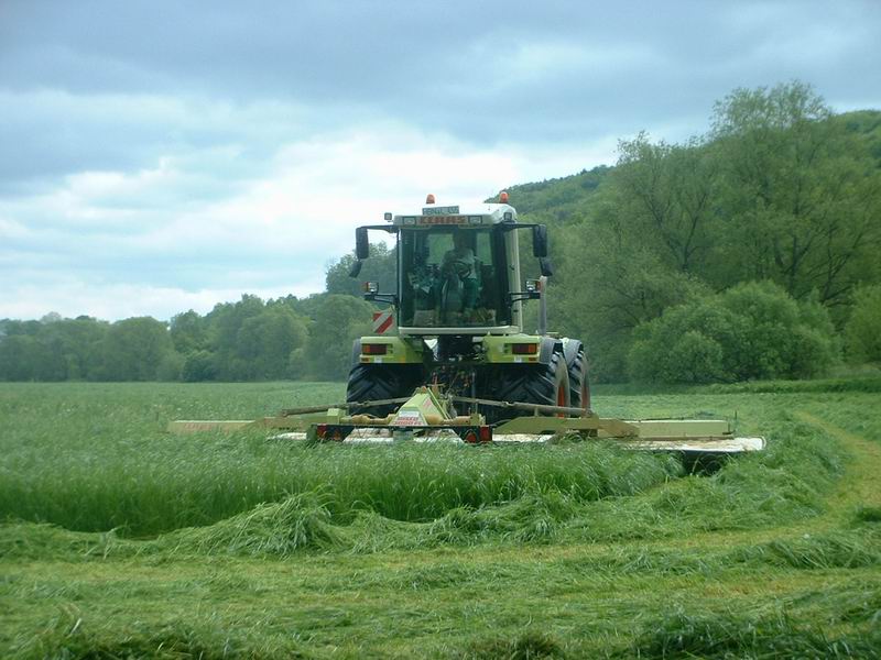 xerion_5.jpg