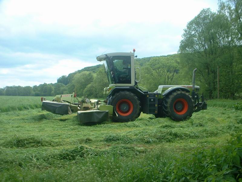 bilder/20_5_2004/xerion_6.jpg
