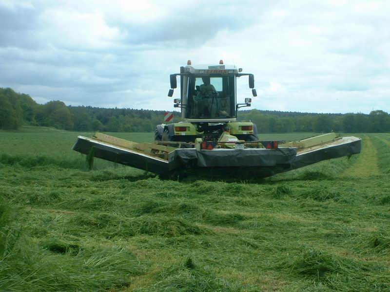 xerion_8.jpg