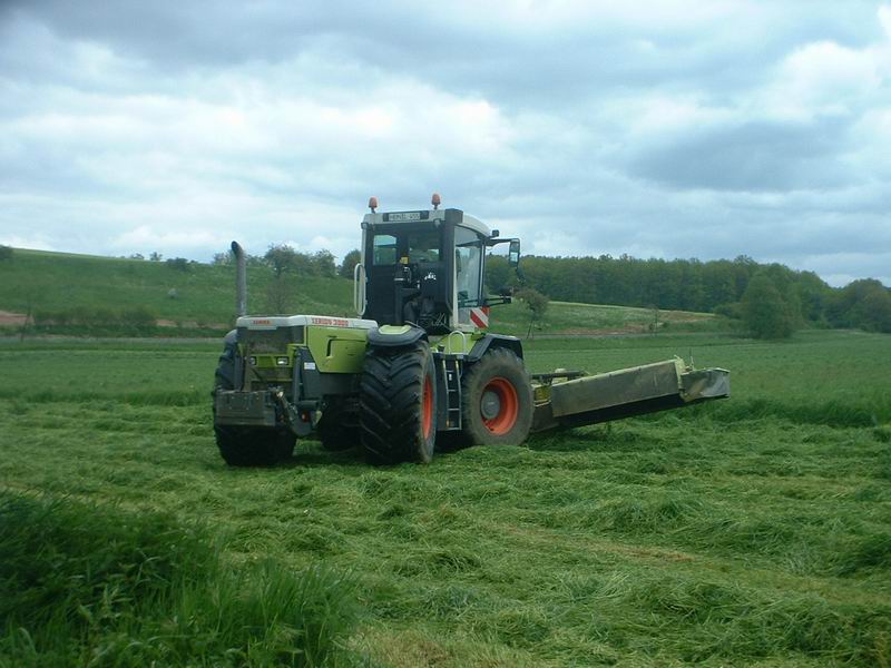 xerion_9.jpg