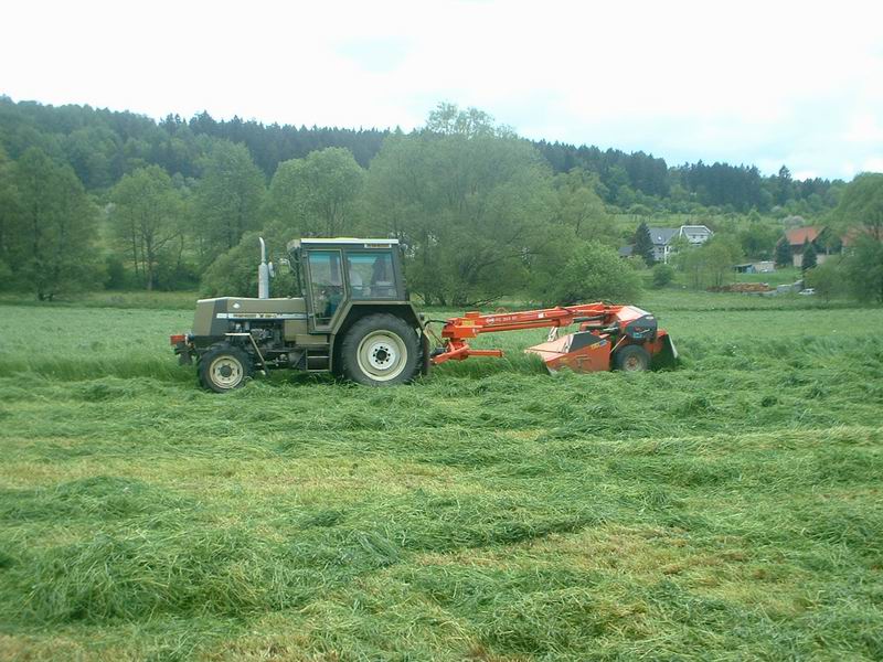 bilder/20_5_2004/zt_323_10.jpg