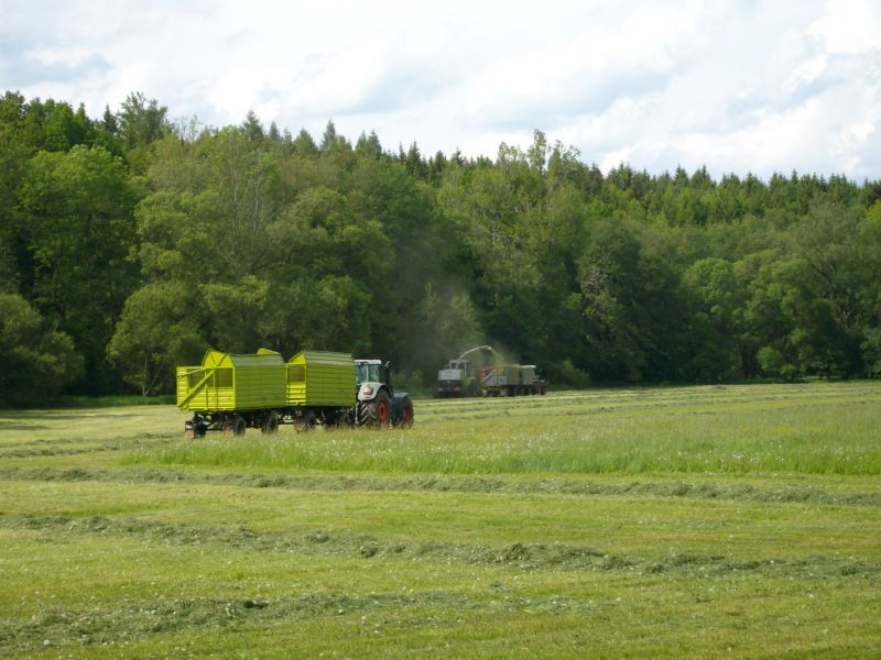 bilder/12_8_2012/CIMG0195.jpg