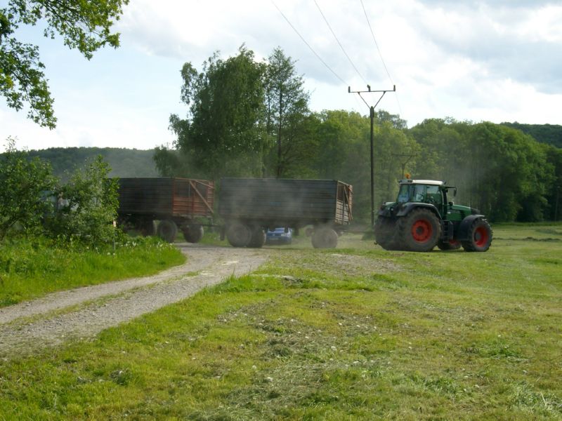 IMGP5394.jpg