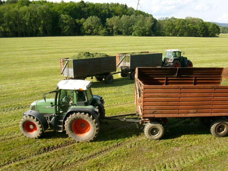 bilder/26_8_2002/fendt_716.jpg