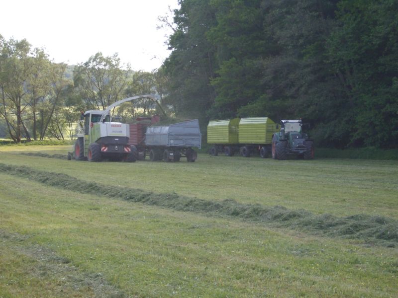 IMGP5459.jpg