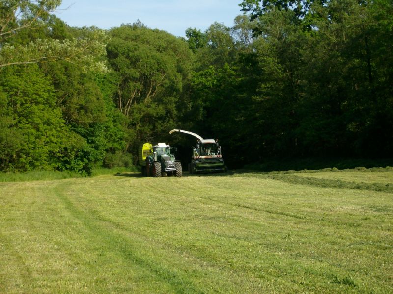 bilder/26_3_2004/zt_323_8.jpg
