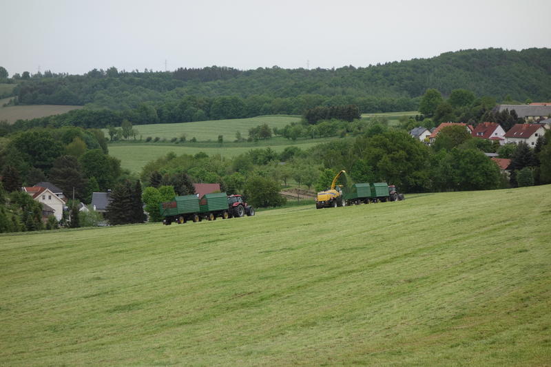 DSC01165.jpg