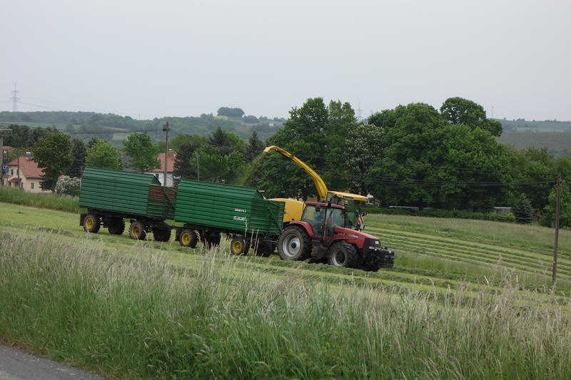 bilder/8_6_2013/CIMG7813.jpg