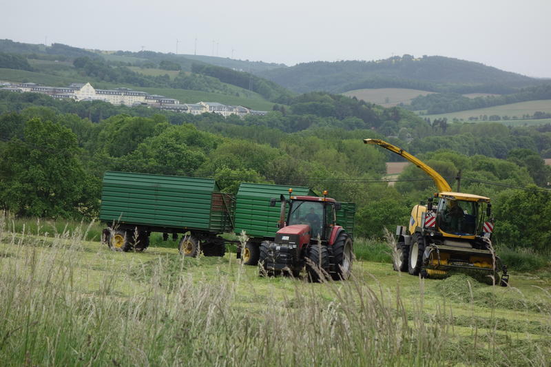 bilder/17_5_2004/jaguar_fendt_21.jpg