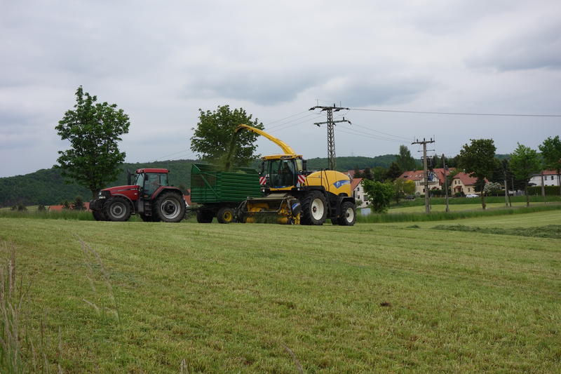bilder/20_5_2015/DSC01234.jpg