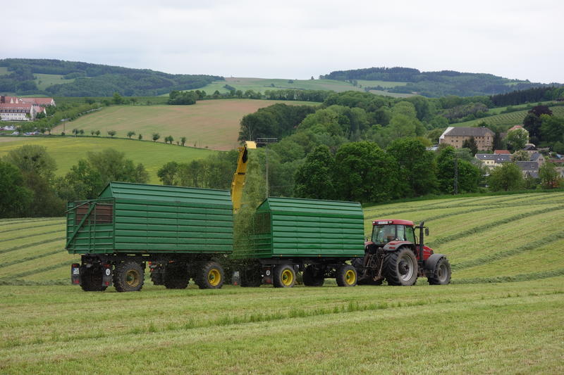 bilder/20_5_2015/DSC01235.jpg