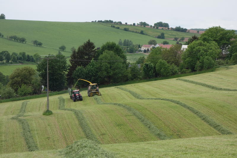 bilder/20_5_2015/DSC01245.jpg