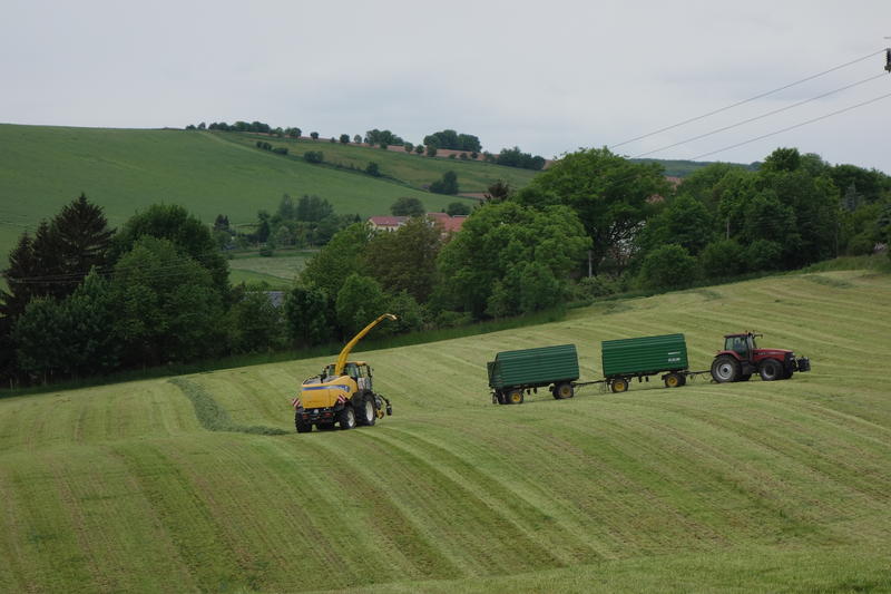 bilder/20_5_2015/DSC01265.jpg