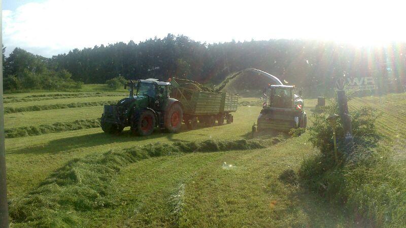 IMG-20130701-WA0005_n.jpg