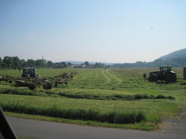 IMG_0005.jpg