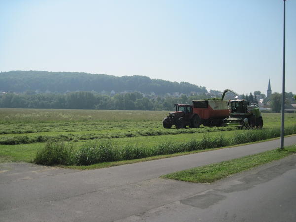 IMG_0006.jpg