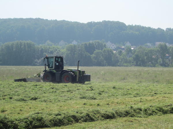 bilder/12_8_2013_3/CIMG9079.jpg