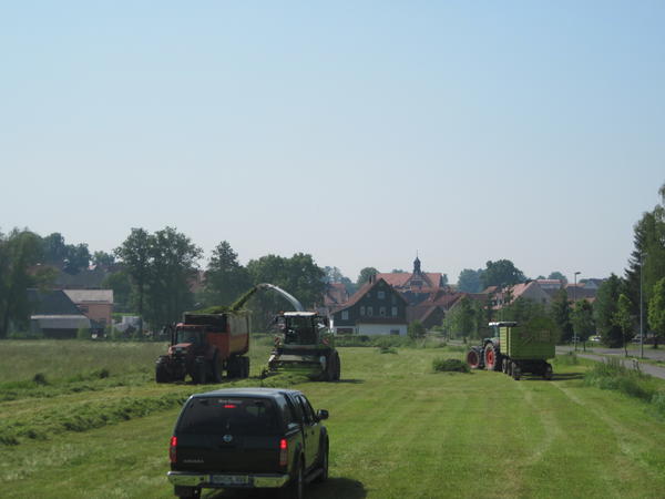 bilder/20_6_2013_2/IMG_0012.jpg