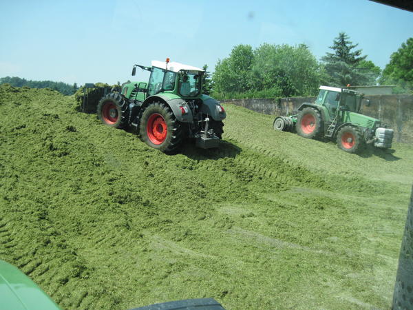 bilder/20_4_2013_2/CIMG7181.jpg