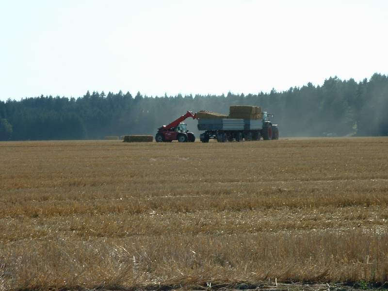 weidemann_+_fendt.jpg