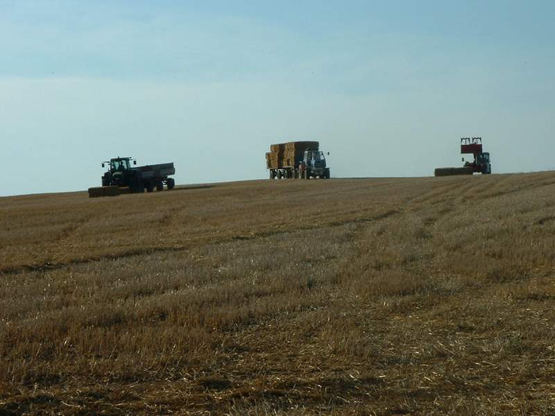weidemann_+_fendt_+_zt_303.jpg