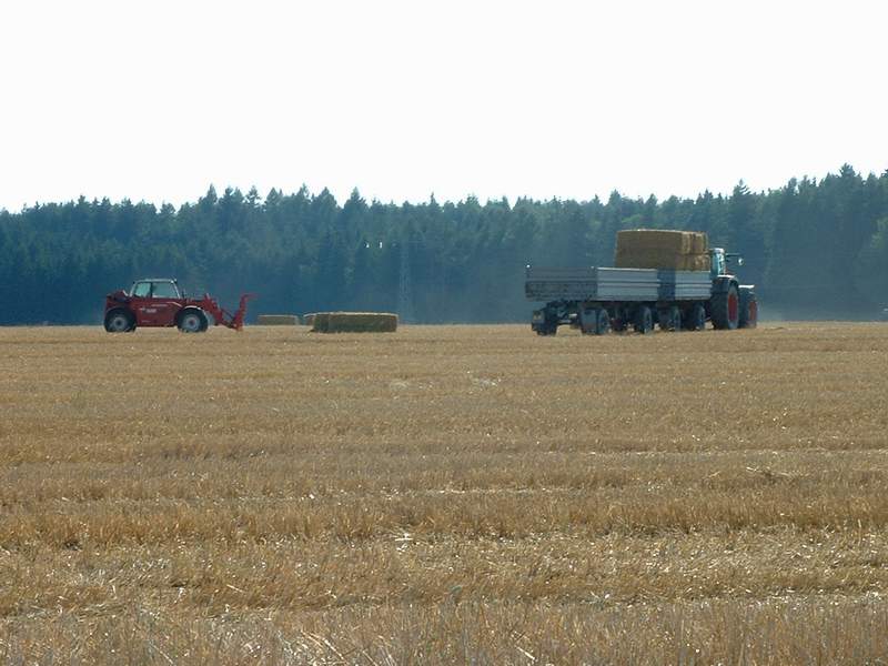 weidemann_+_fendt_2.jpg