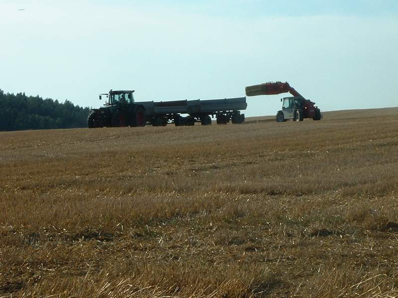 weidemann_+_fendt_3.jpg