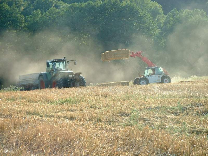weidemann_+_fendt_4.jpg