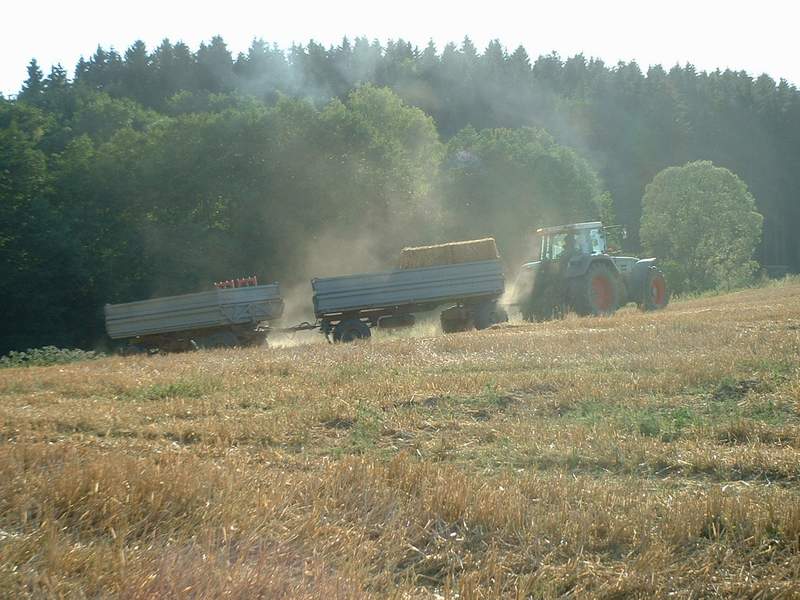 weidemann_+_fendt_5.jpg