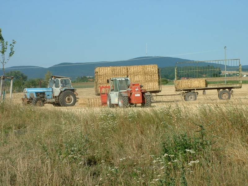 weidemann_+_zt_303.jpg