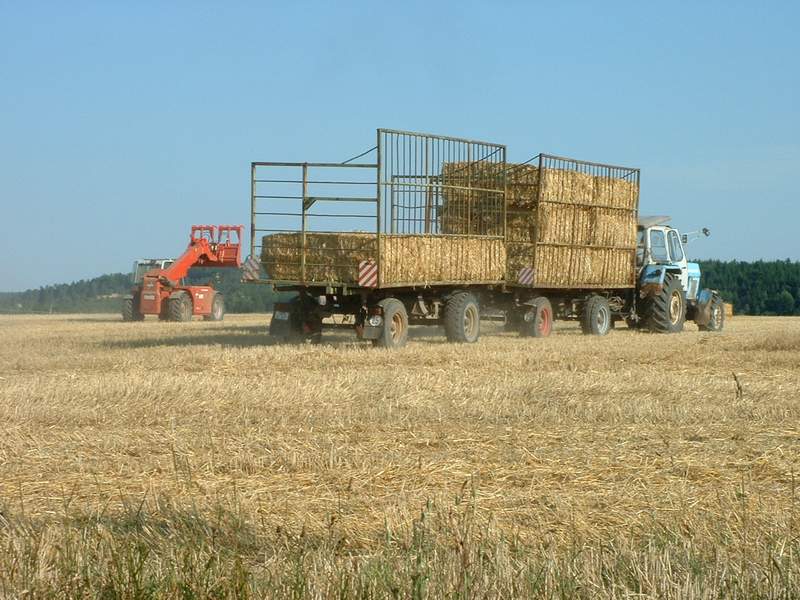 weidemann_+_zt_303_2.jpg