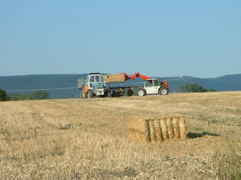 weidemann_+_zt_303_5.jpg