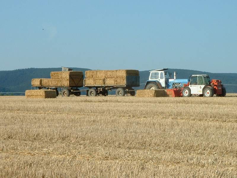 weidemann_+_zt_303_9.jpg