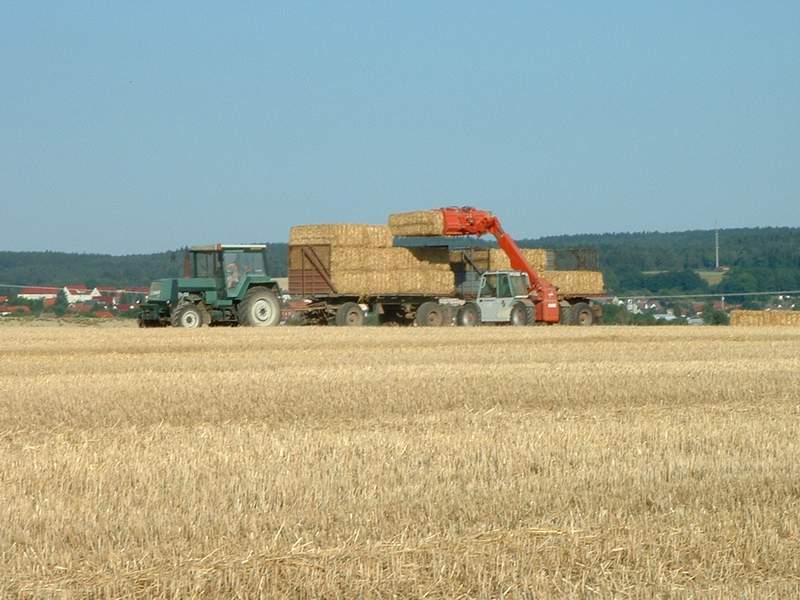 weidemann_+_zt_323.jpg