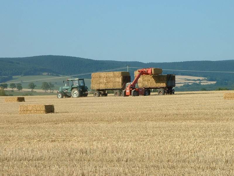 weidemann_+_zt_323_4.jpg