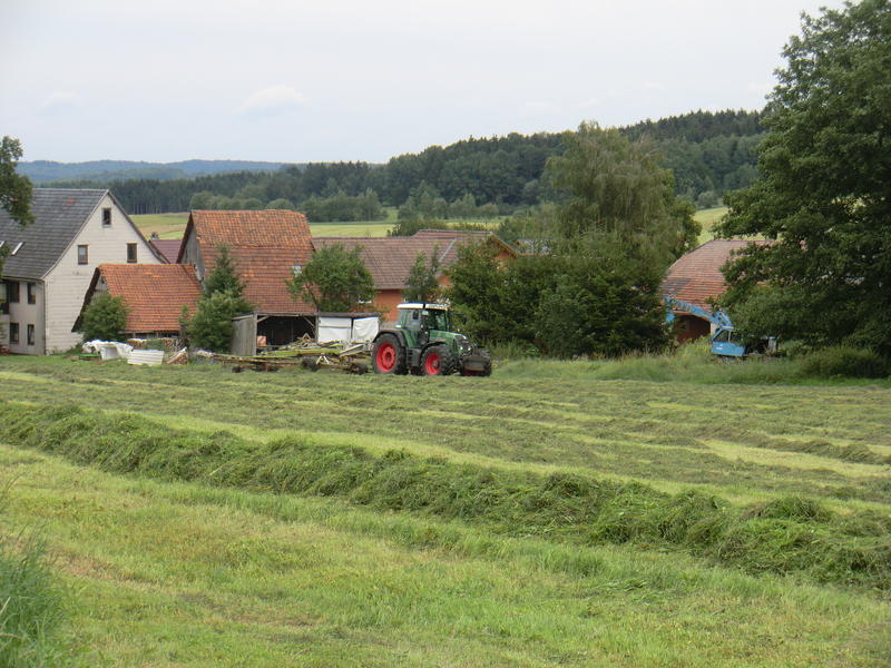 CIMG3444.jpg