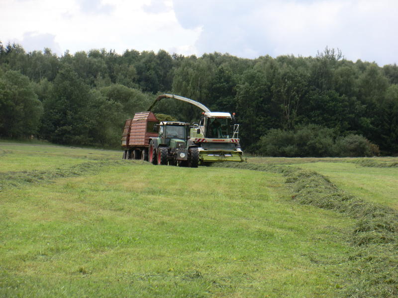 bilder/8_10_2014/CIMG8252.jpg