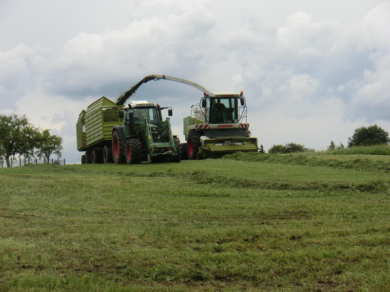 bilder/11_10_2022_2/DSC03962.jpg