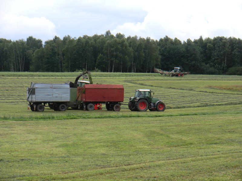 bilder/20_7_2011/CIMG3499.jpg