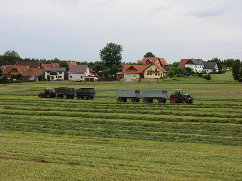 bilder/20_7_2011/CIMG3509.jpg