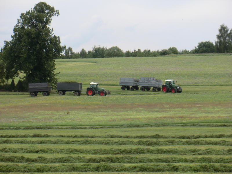 bilder/20_7_2011/CIMG3510.jpg