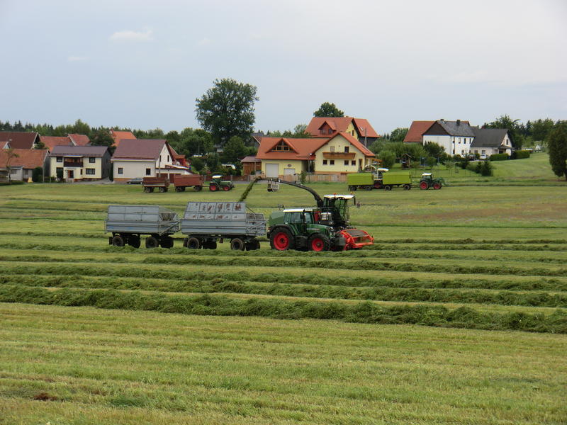 bilder/29_9_2011_2/CIMG5165.jpg
