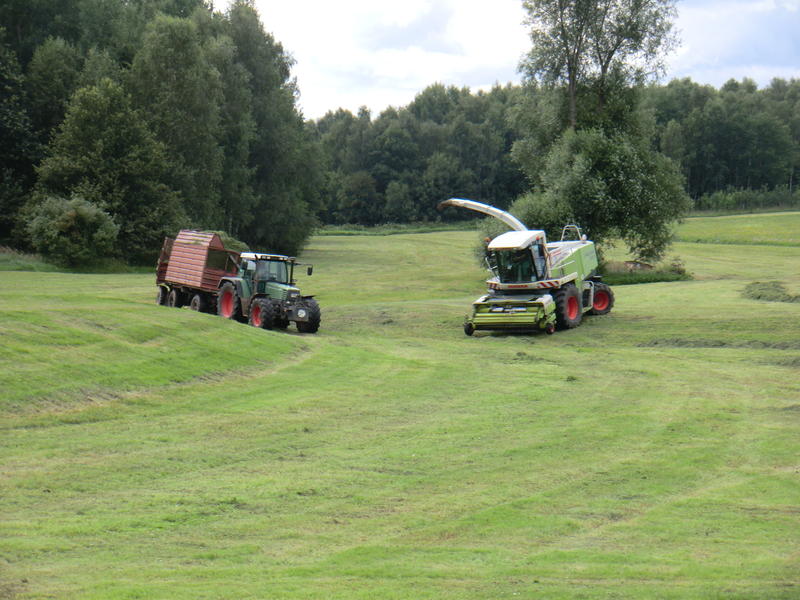 bilder/20_7_2011/CIMG3532.jpg