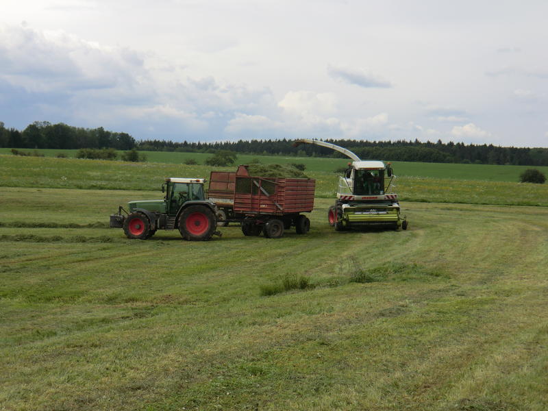 bilder/20_7_2011/CIMG3533.jpg
