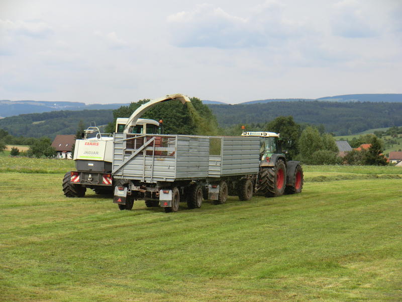 CIMG3546.jpg