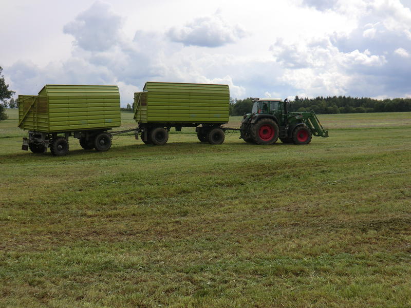 bilder/20_7_2011/CIMG3548.jpg