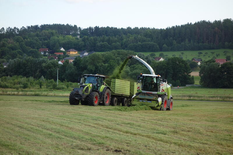 bilder/17_8_2009/IMGP7733.jpg