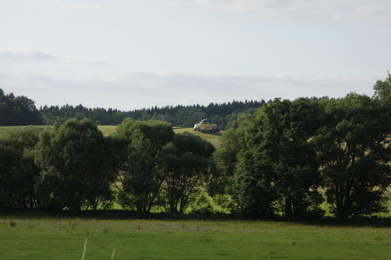 DSC01459.jpg