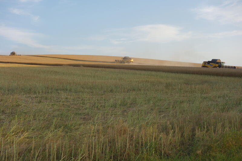 DSC02694.jpg